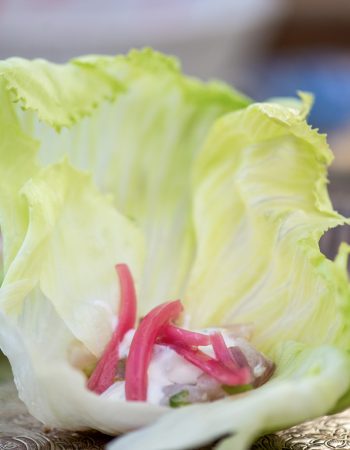 007 סביצה בעלה חסה