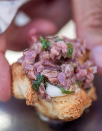 008 טרטר שייטל חלה שרופה