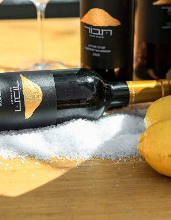 WhatsApp Image 2025-06-08 at 11.22.07