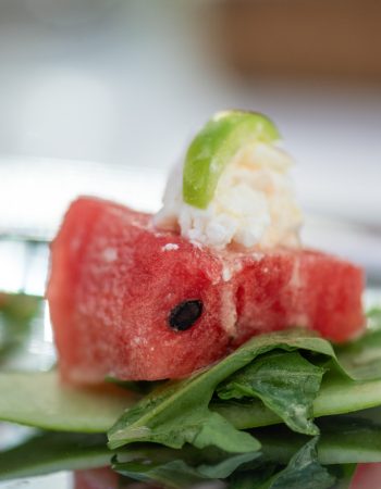 מלון השרון (260)